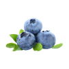 blueberries