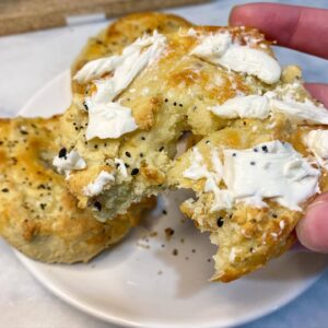 low carb bagels bite