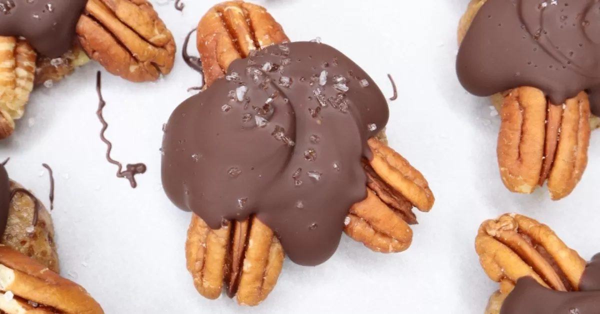 turtle candies