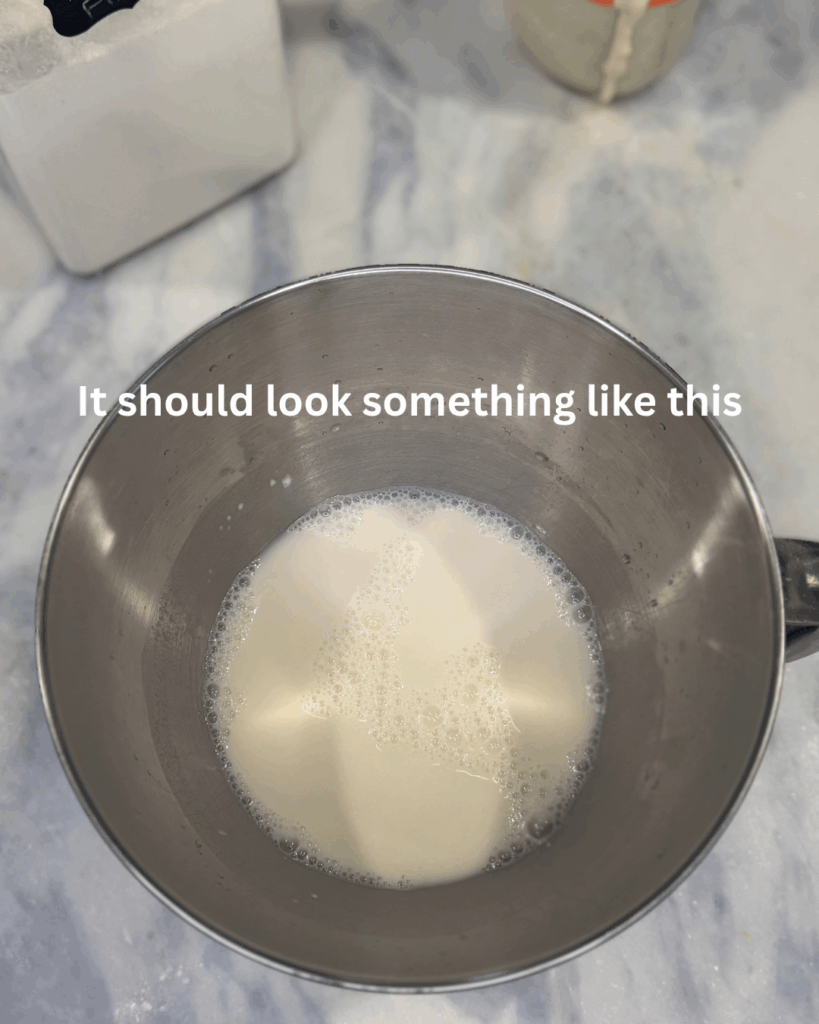 sourdough step by step instructions pictures