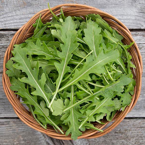 arugula