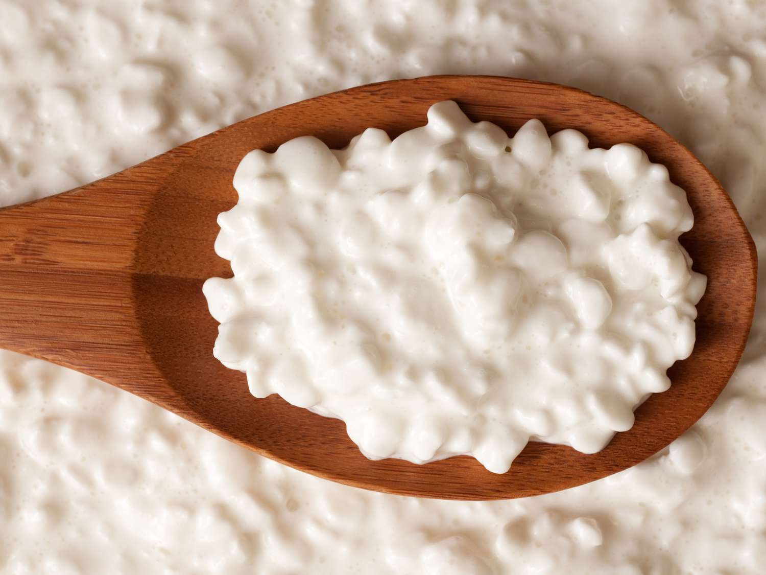 cottage cheese