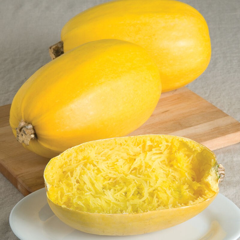 spaghetti squash