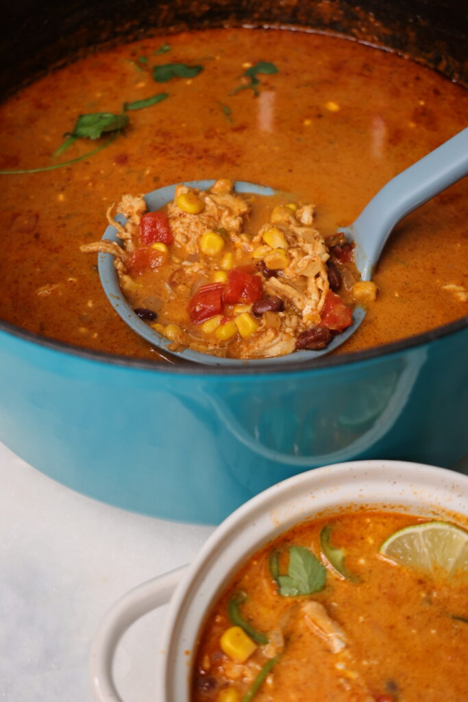 chicken enchilada soup