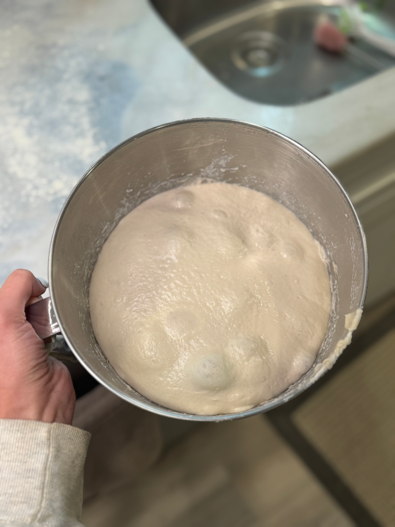 sourdough ciabattasourdough ciabatta